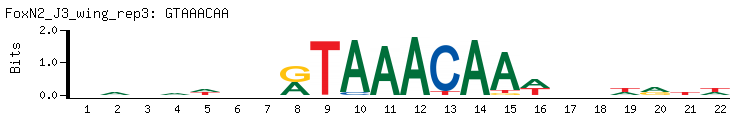 GTAAACAA